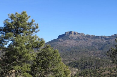0 Raton Overlook unit Parcel 8 18-2, Trinidad, CO 81082 - photo 4