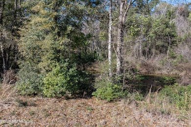 141_2113FL16_Hommati261