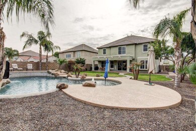7 Backyard