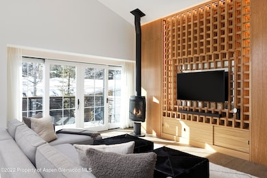 550 S Spring St unit 392, Aspen, CO 81611 - photo 3