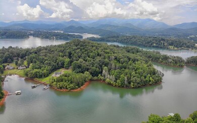 Additional View