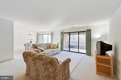 3 Southerly Ct unit 504, Towson, MD 21286 - photo 7