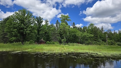 TBD 40 Crane Lake, Crane Lake, MN 55725 - photo 3