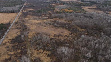 DJI_0137
