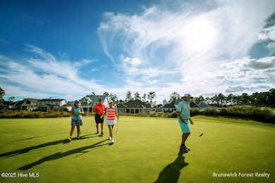 4413 Fantail Dr, Leland, NC 28451 - photo 7