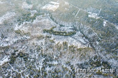 Pentwater 12.5 Acres-5