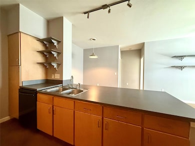 Kitchen with open shelves, a sink, black dishwash