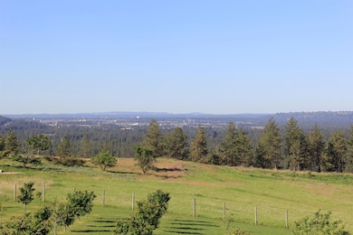 17323 N Lower Greenbluff Rd, Colbert, WA 99005 - photo 7