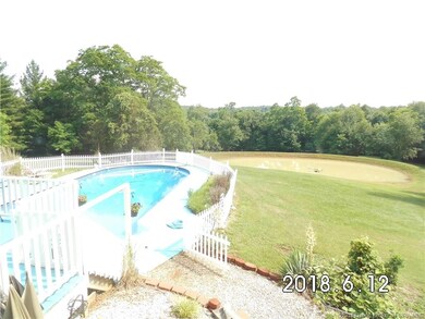 View of inground pool & fully stocked pond.