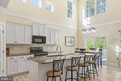 22543 Bradbury Way, Georgetown, DE 19947 - photo 6