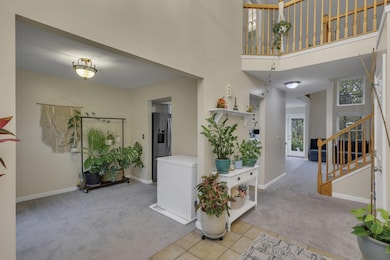 7-web-or-mls-G02A4853