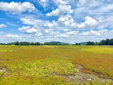 MAP13LOT11 Martins Ridge Rd, Franklin, ME 04634 - photo 4