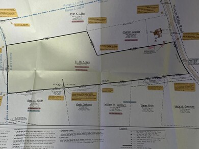 Norton Ridge Survey