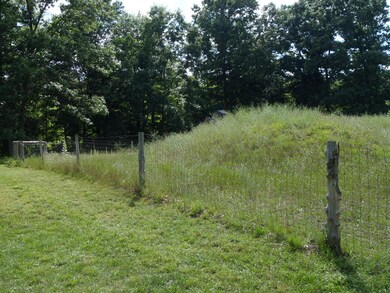 3388 4th St, Wayland, MI 49348 - photo 6