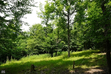 X Brown Hill Rd, Washington Township, IN 47448 - photo 6