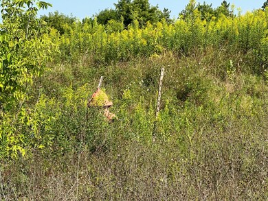 35 acres Evergreen Parkway (1)