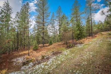 4425 Stonebrook Way, Springdale, WA 99173 - photo 5