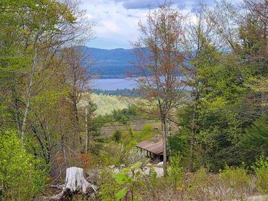 62 Knox Mountain Rd unit map 75 lot 43, Ossipee, NH 03814 - photo 7