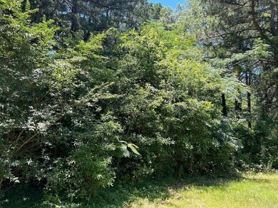 N/A0 Robin Ln, Sheridan, AR 72150 - photo 3