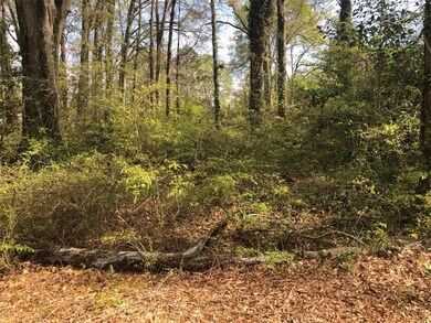 00 River St, Iva, SC 29655 - photo 3