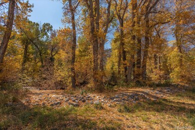 River frontage with mature trees