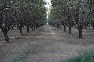 0 Road 16 unit 225148556, Zamora, CA 95698 - photo 5