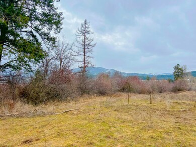 D-LOT 3 Immel Rd, Chewelah, WA 99109 - photo 5