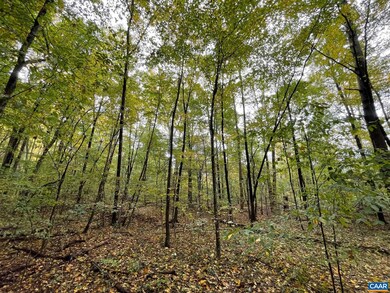 TBD Middle River Rd, Stanardsville, VA 22973 - photo 3