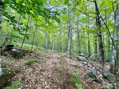 Lot 1 and 6 Grace and Granite Hill Rd, Wilmot, NH 03287 - photo 4