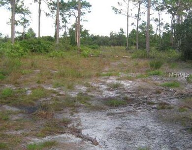 Mustang Ct, Saint Cloud, FL 34771 - photo 4