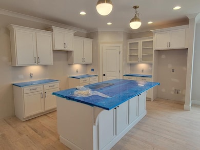 4709 Perth Ln, Nolensville, TN 37135 - photo 3