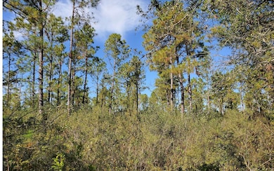 0 Brown Rd unit 123992, Lee, FL 32059 - photo 3