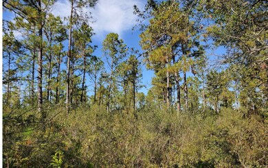 0 County Line Rd unit 123992, Lee, FL 32059 - photo 3