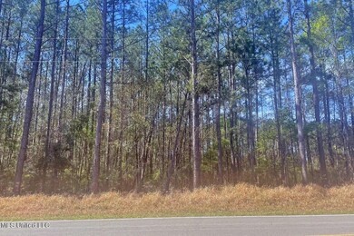 1.5 Acres Barton Agricola, Lucedale, MS 39452 - photo 4