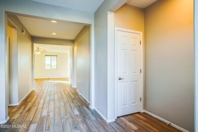 Mountain Stone Pine 41