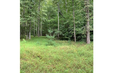 Additional View
