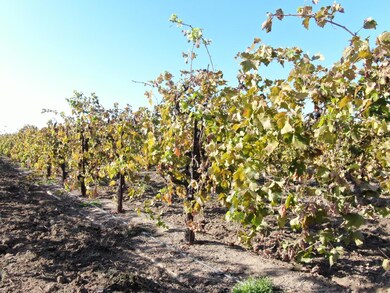 0 N Sycamore Rd, Acampo, CA 95220 - photo 4