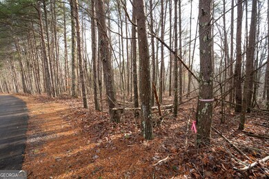 1 Amber Ct, Jasper, GA 30143 - photo 4