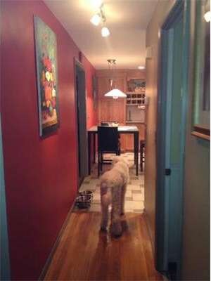 22 Purchase St, Carver, MA 02330 - photo 7