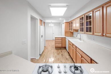 Gas Cook Top