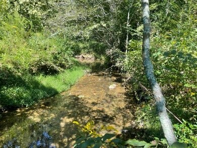 LOT 8 Clear Creek Preserve Way, Ellijay, GA 30536 - photo 6