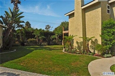 Grassy Side Yard