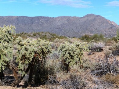 Mountain Views 2
