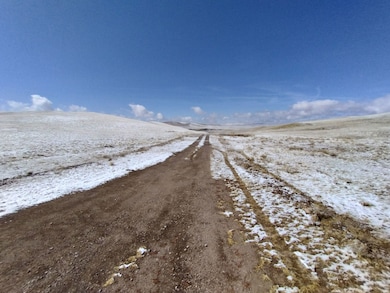 916 Chicha Rd, Hartsel, CO 80449 - photo 2