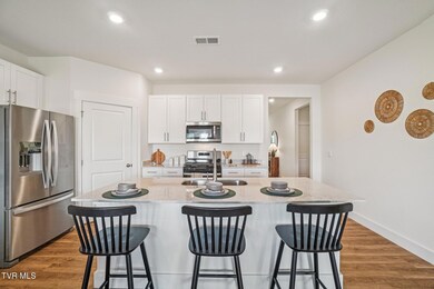 230 Artist Ave, Johnson City, TN 37615 - photo 3