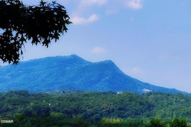 270 Moose Ridge Way, Pigeon Forge, TN 37863 - photo 3