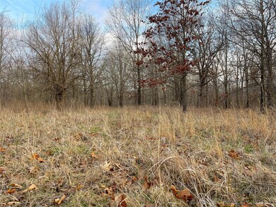 50 N 407 Rd, Wann, OK 74083 - photo 4