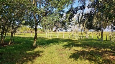 0 Litchfield Loop unit P4913211, Winter Haven, FL 33884 - photo 4