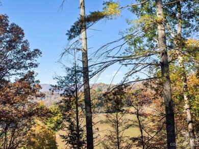 32 Shire Way Ln, Leicester, NC 28748 - photo 2