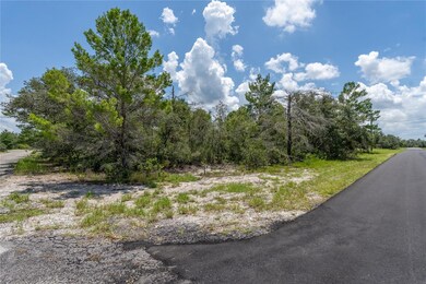 Lot view